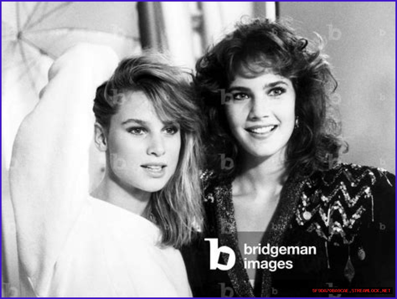 All About Nicollette Sheridan: A Television Icon