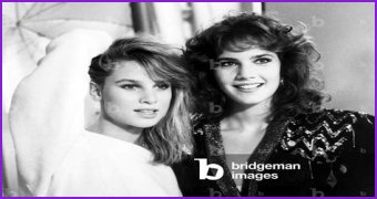 All About Nicollette Sheridan: A Television Icon